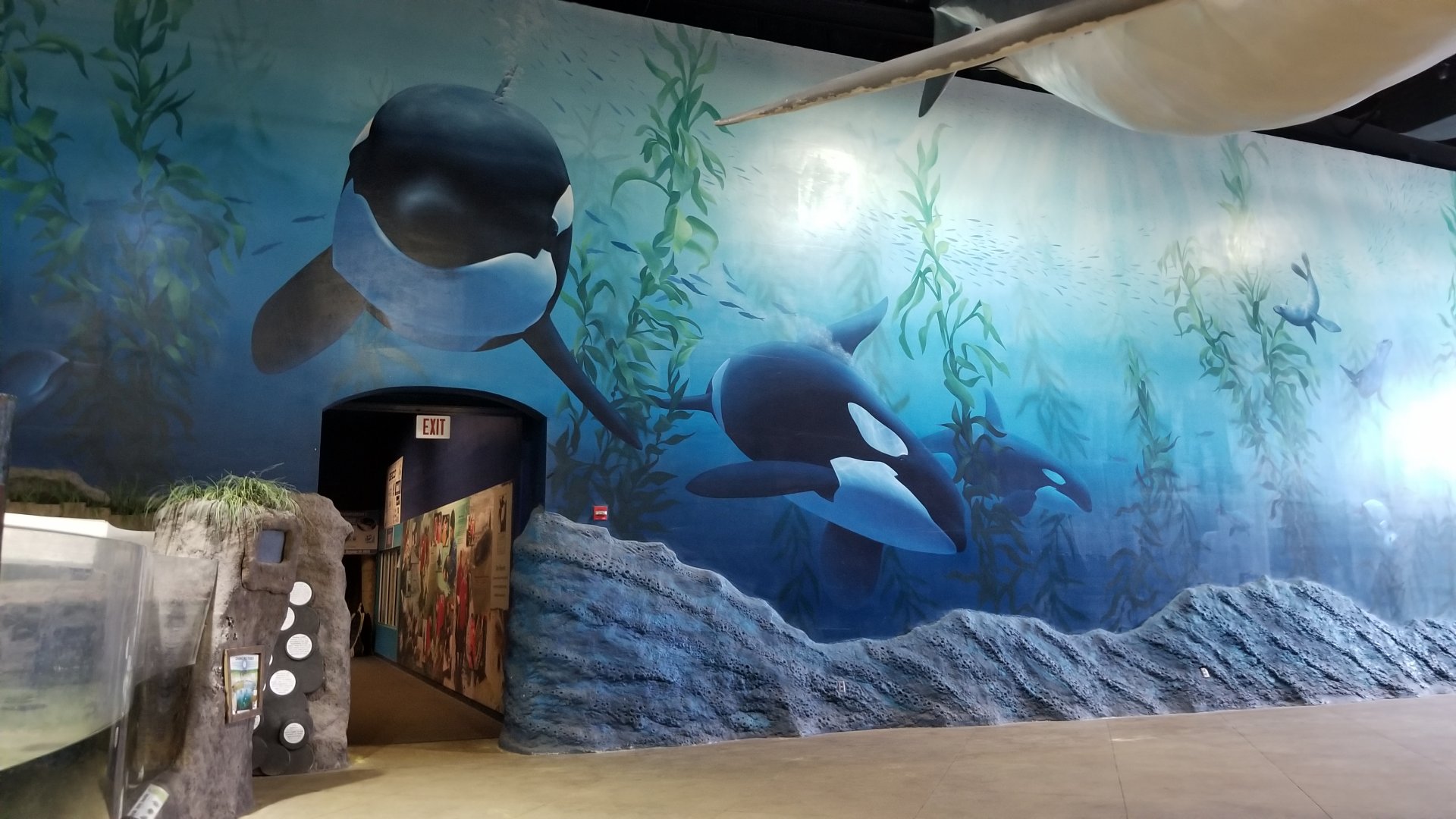 Long Island Aquarium - Mammal mural