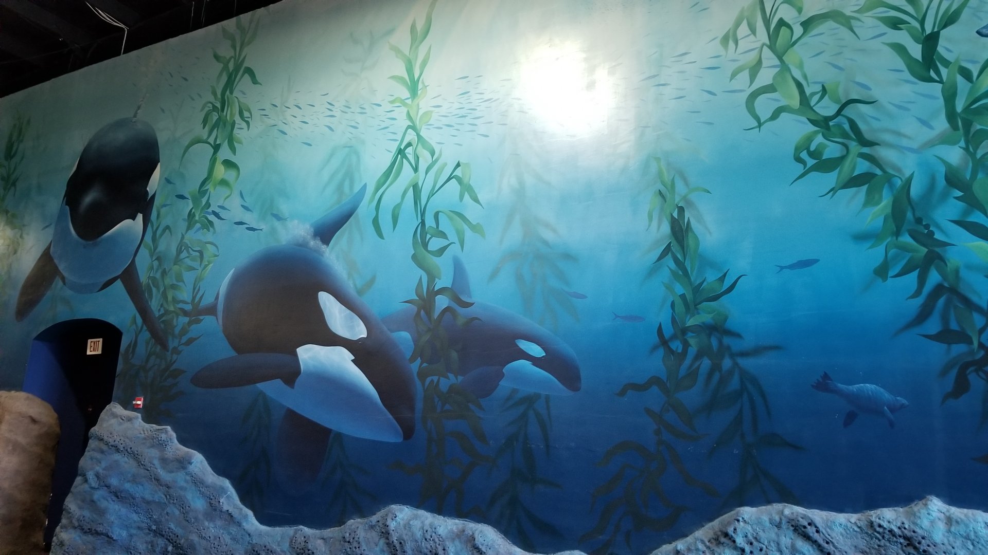 Long Island Aquarium - Mammal mural