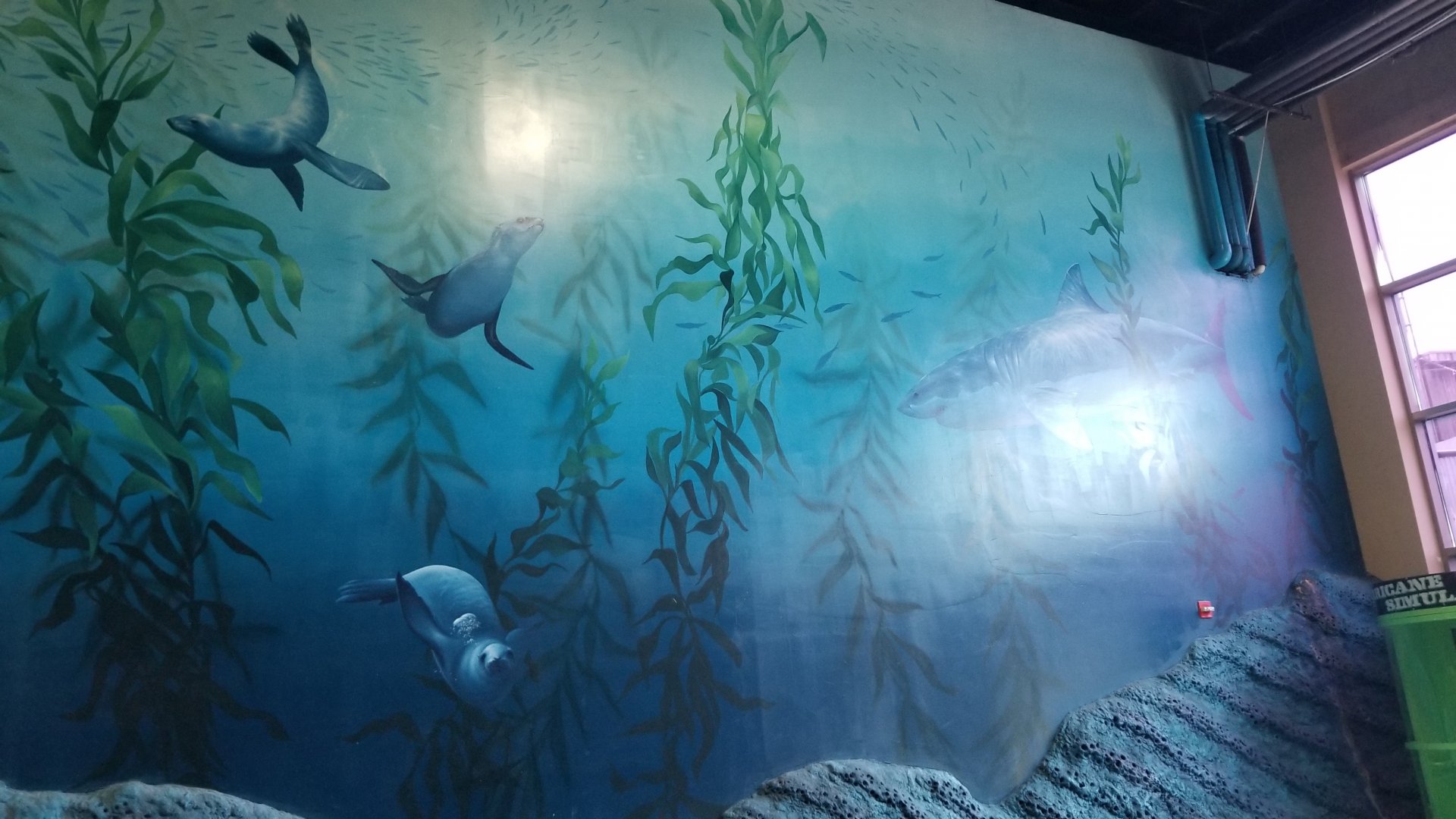 Long Island Aquarium - Mammal mural