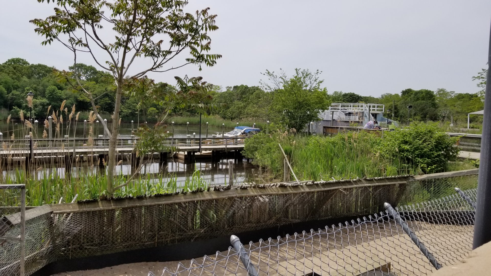 Long Island Aquarium - Marsh