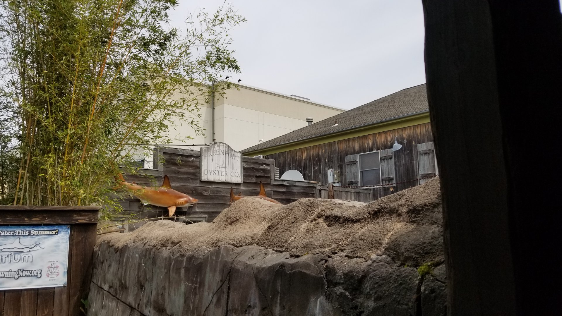 Long Island Aquarium - More theming