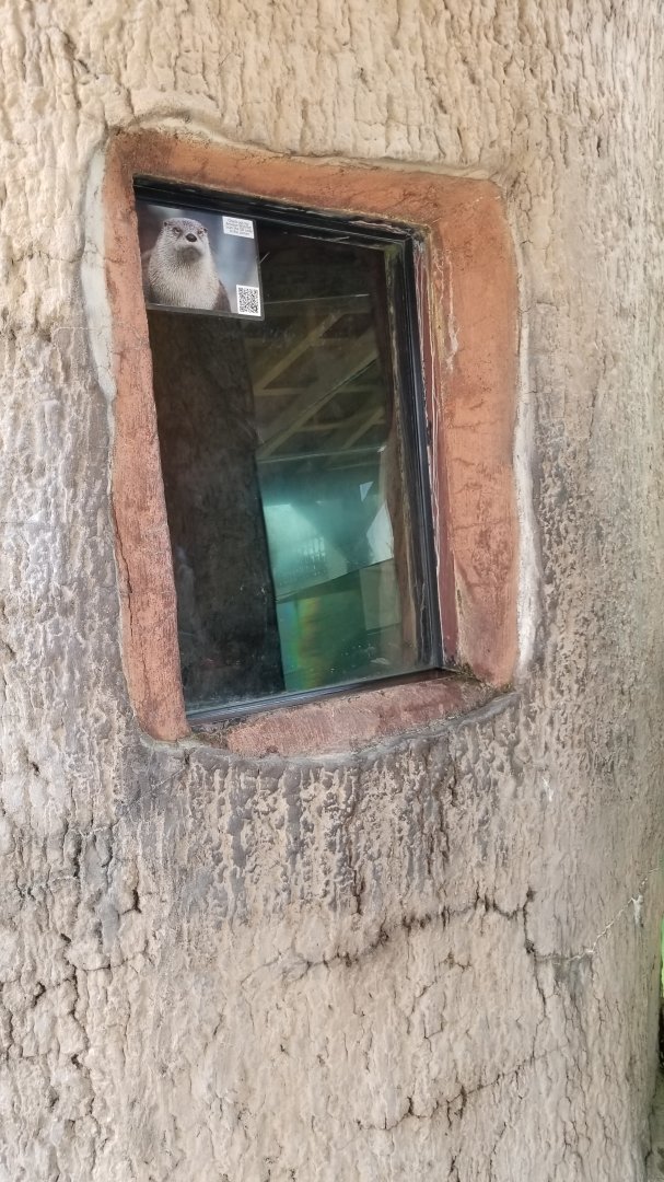 Long Island Aquarium - NARO otter falls, inside tree viewing