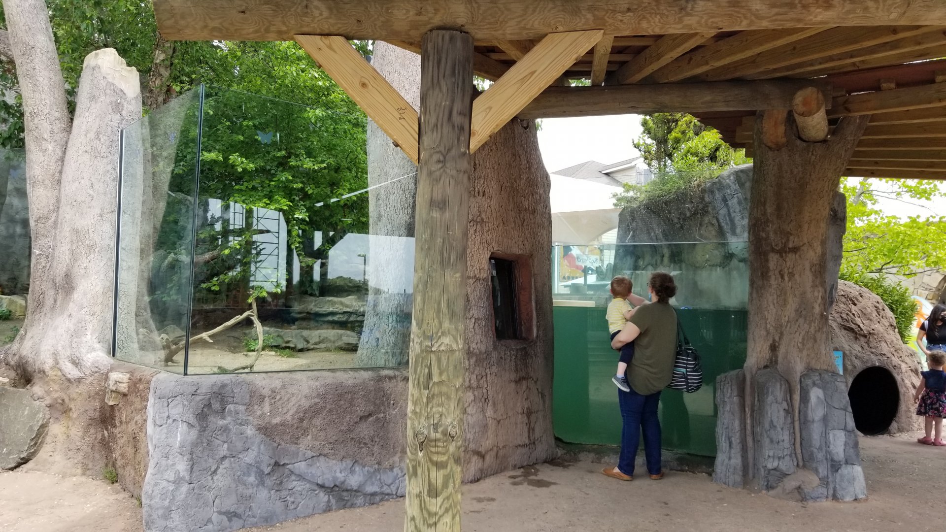 Long Island Aquarium - NARO otter falls