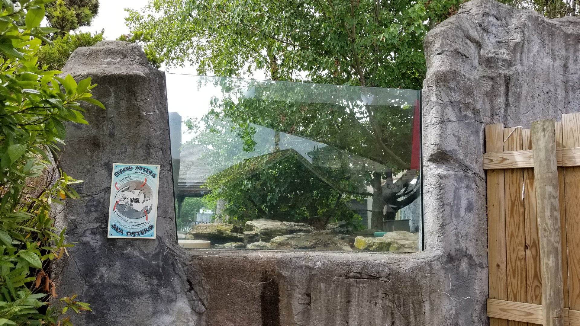 Long Island Aquarium - NARO otter falls