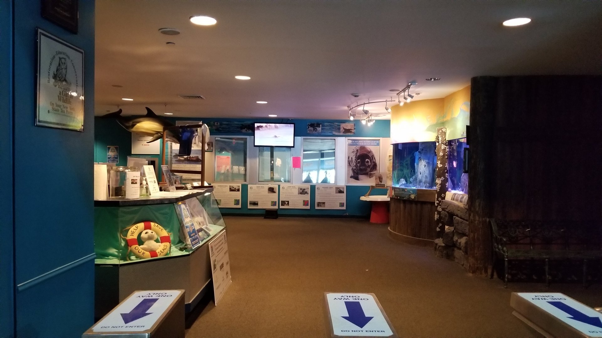 Long Island Aquarium - NY Marine Rescue Center room / exit