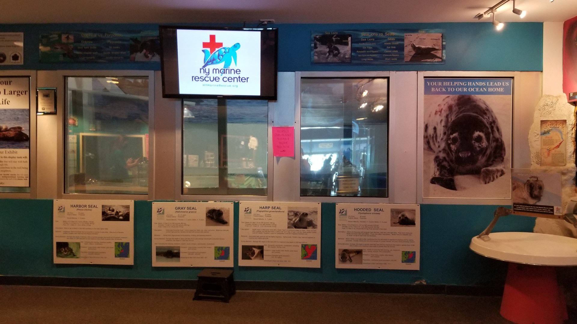 Long Island Aquarium - NY Marine Rescue Center room, seal tanks (empty)