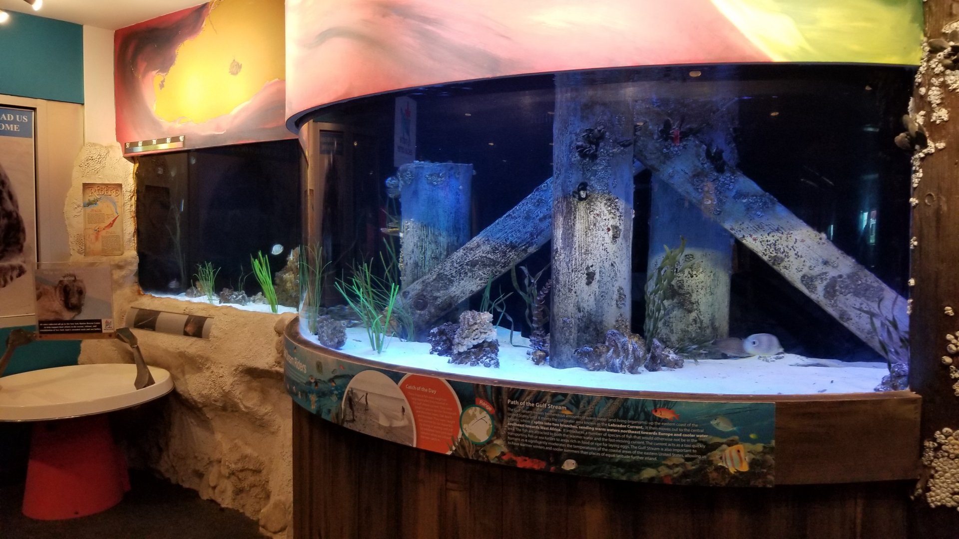 Long Island Aquarium - NY Marine Rescue Center room, tank 2