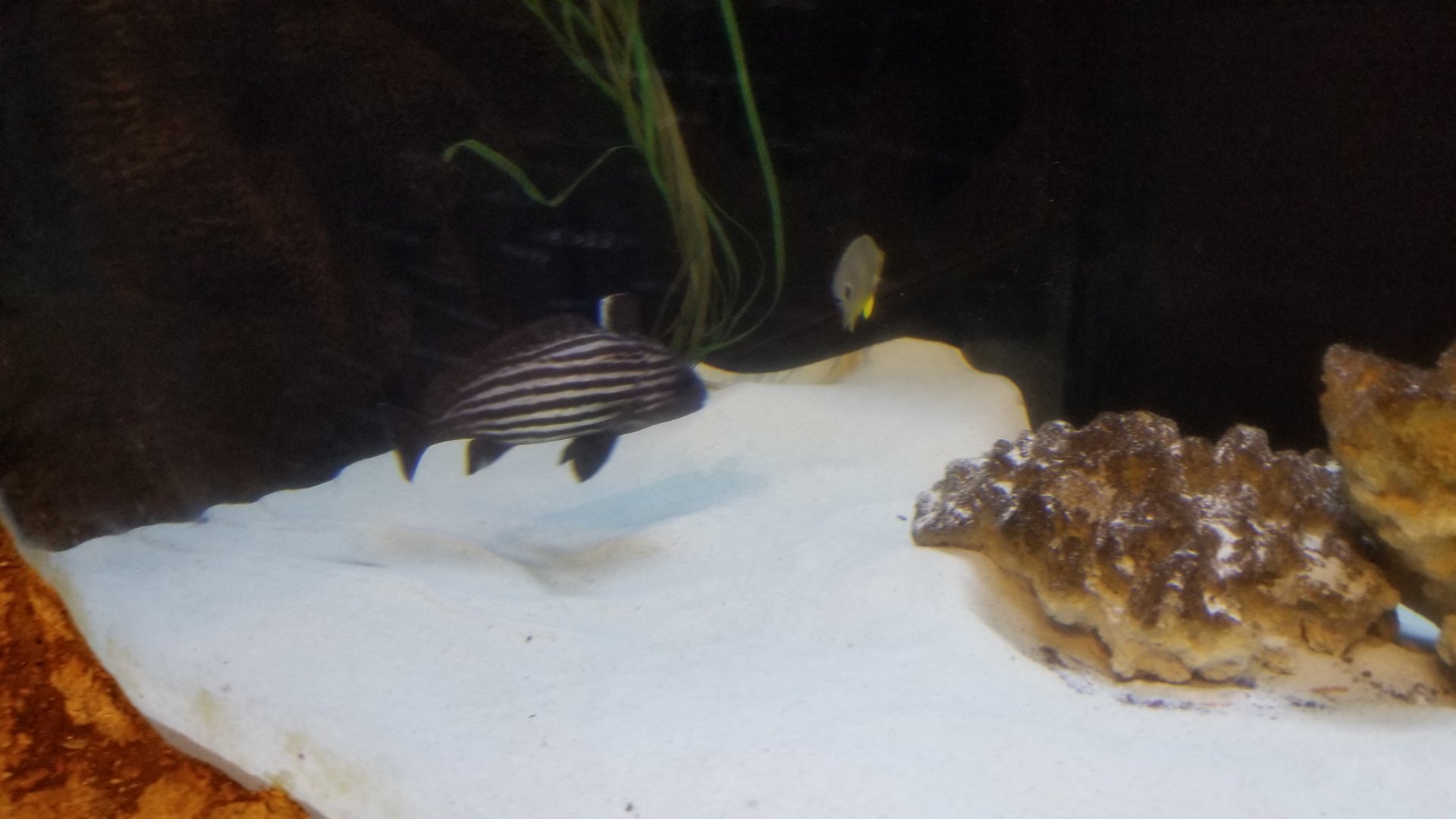 Long Island Aquarium - NY Marine Rescue Center room