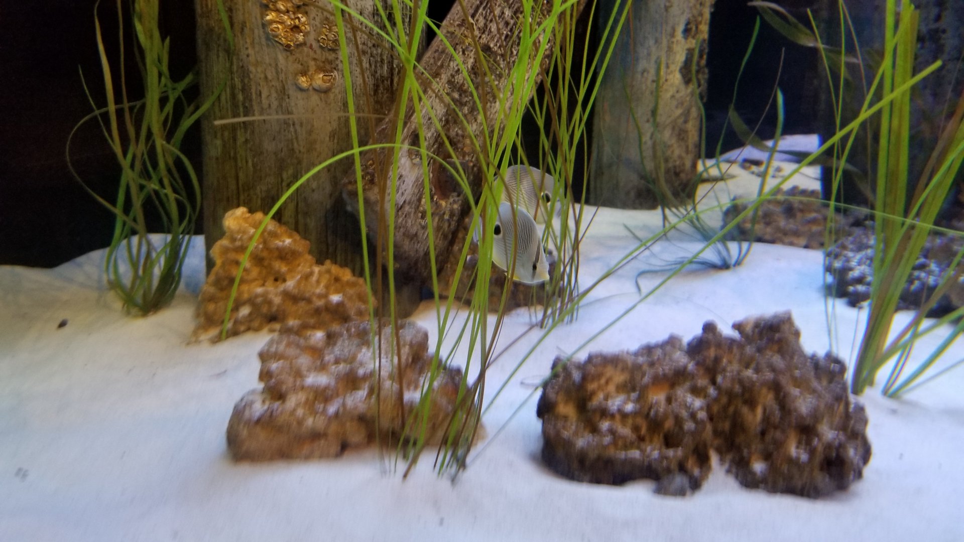 Long Island Aquarium - NY Marine Rescue Center room