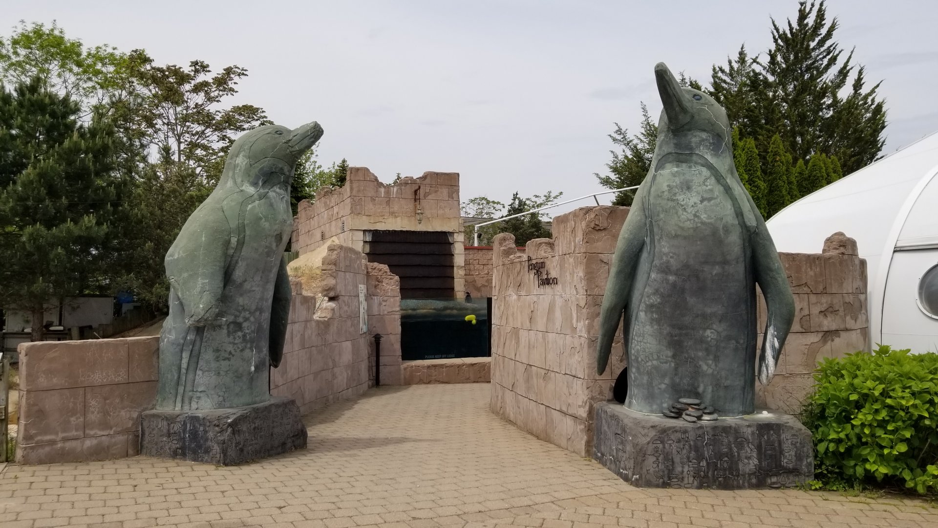 Long Island Aquarium - Penguins from other direction