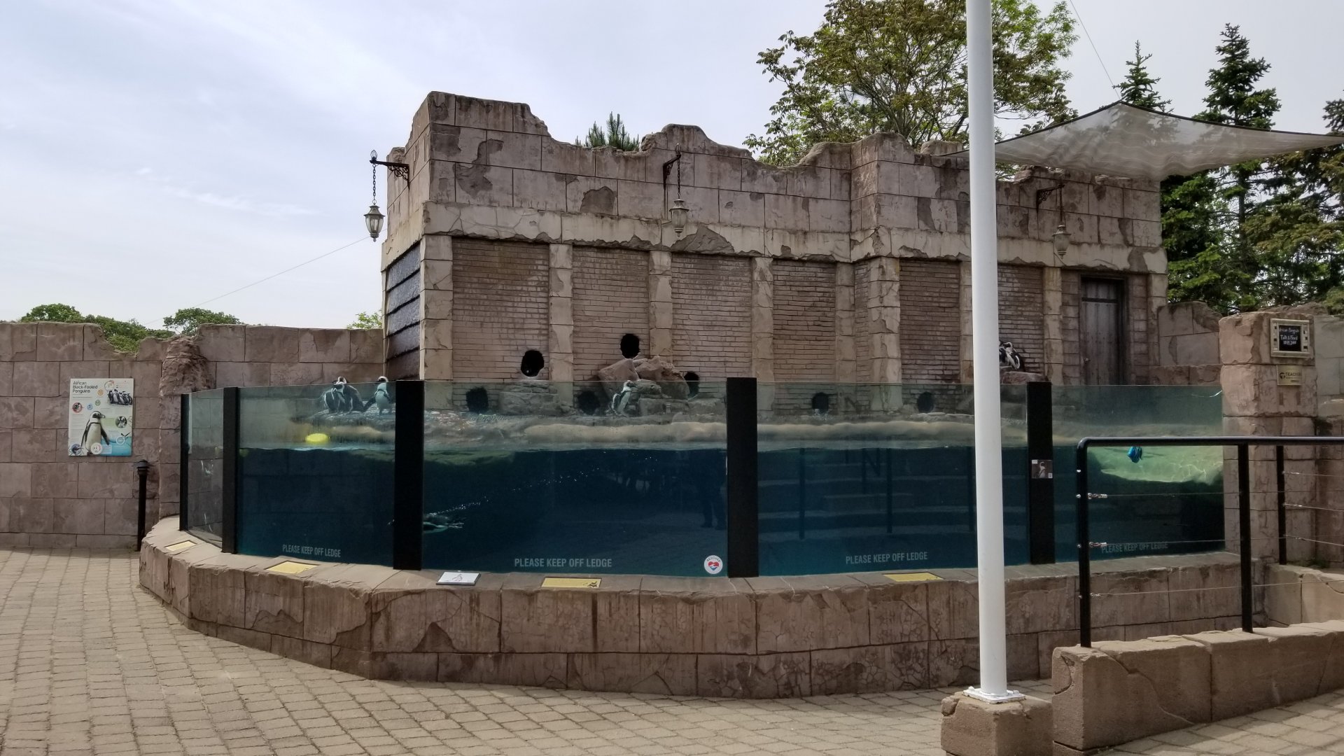 Long Island Aquarium - Penguins