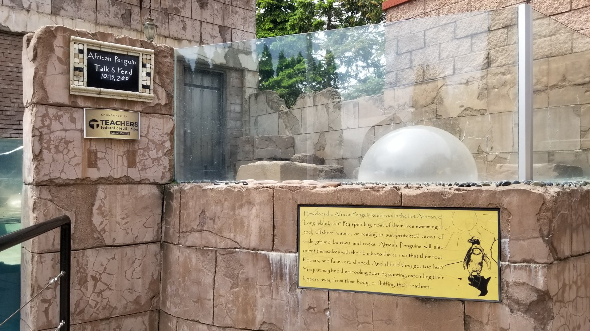 Long Island Aquarium - Penguins