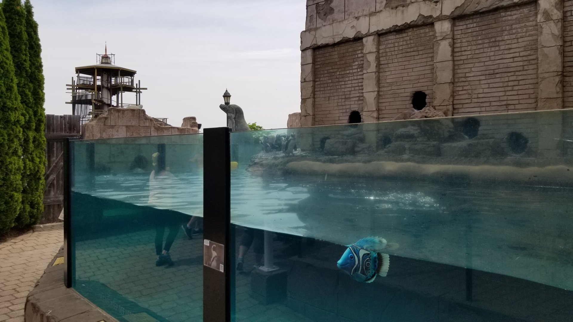 Long Island Aquarium - Penguins