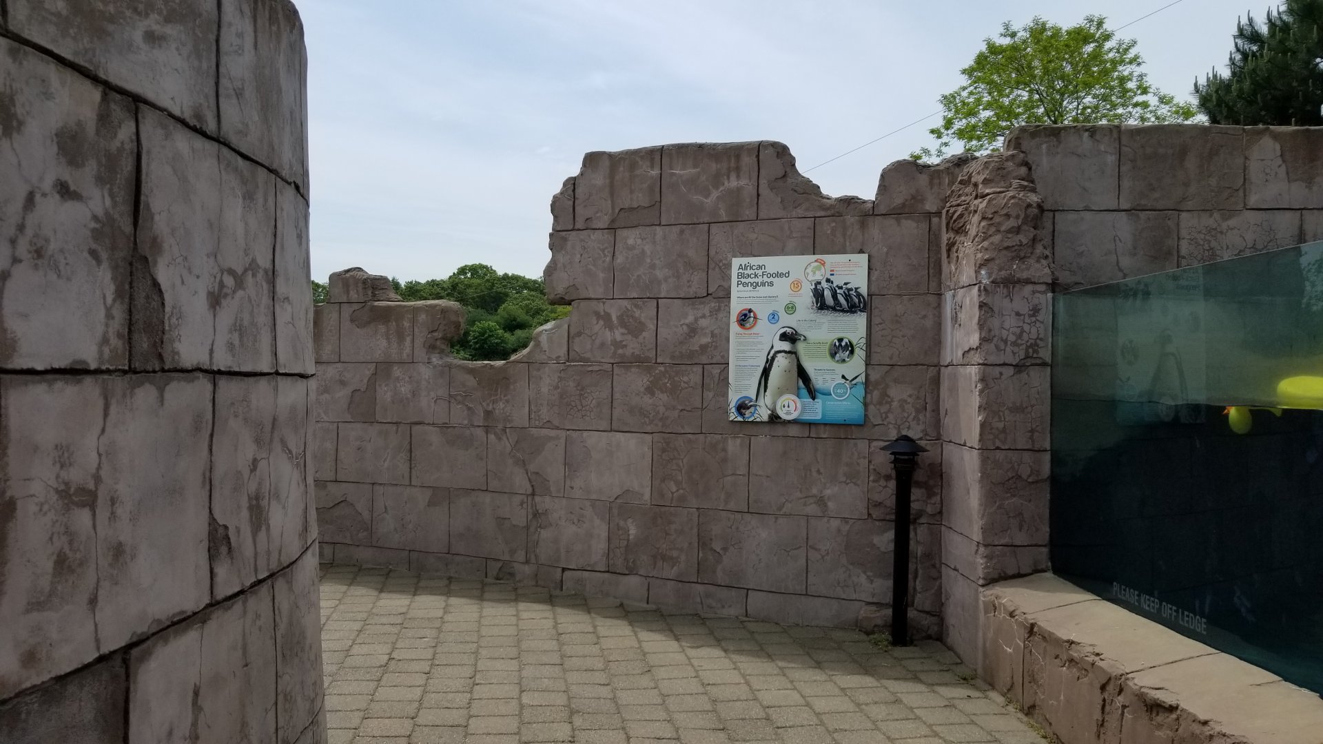 Long Island Aquarium - Penguins