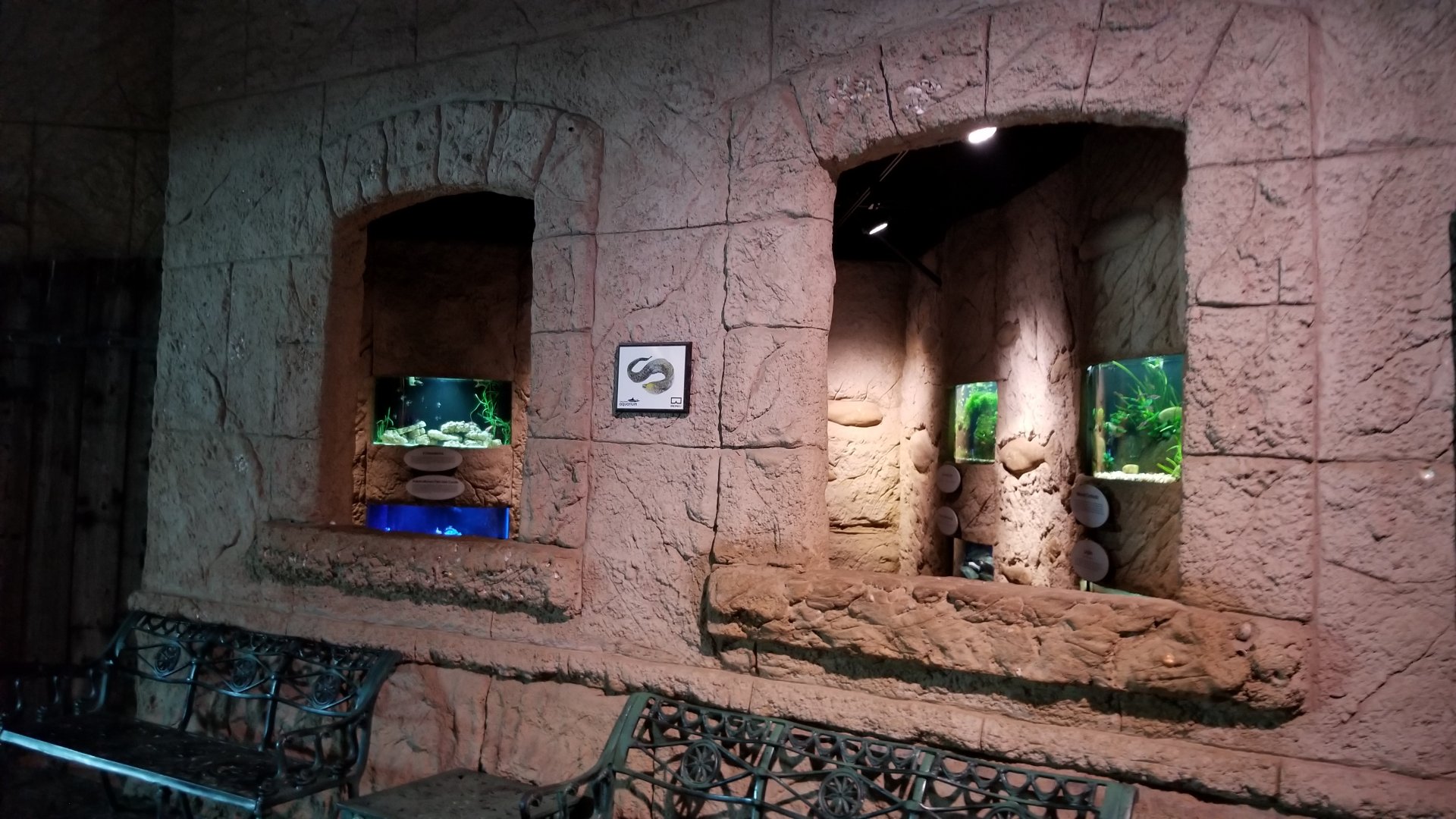 Long Island Aquarium - Poseidon's Treasure Room