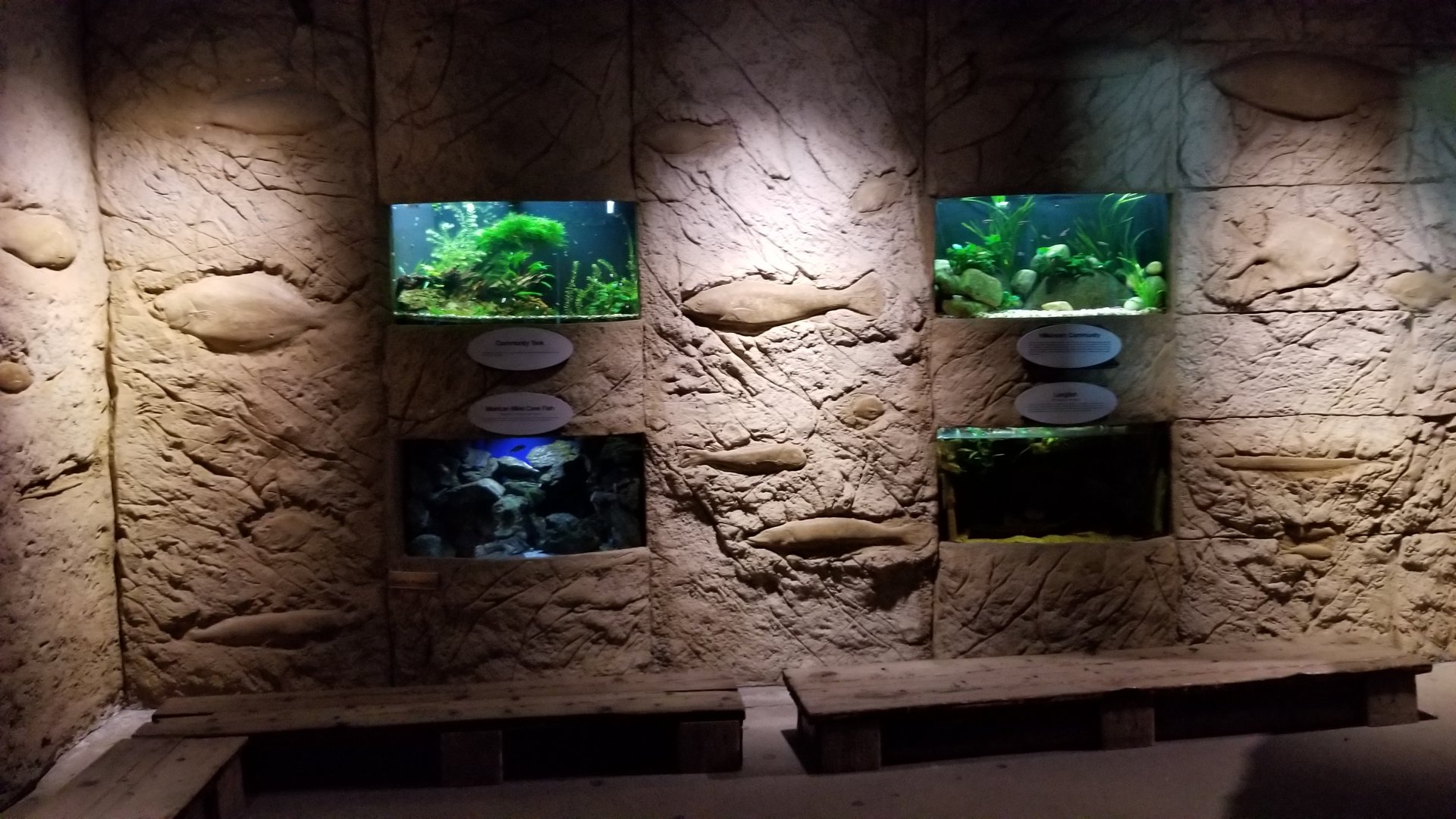 Long Island Aquarium - Poseidon's Treasure Room