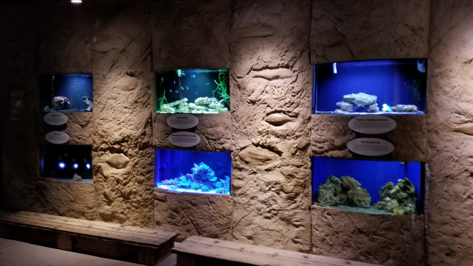 Long Island Aquarium - Poseidon's Treasure Room