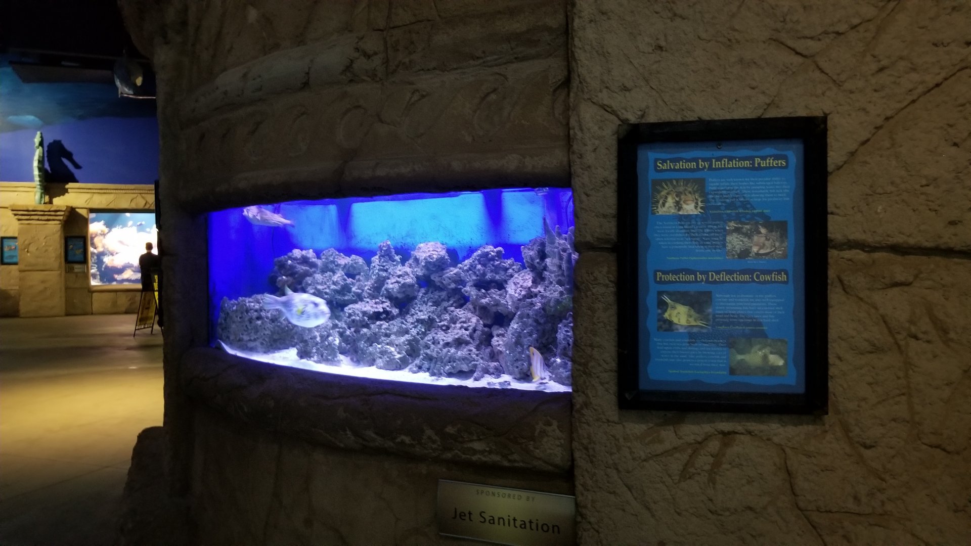 Long Island Aquarium - Pufferfish tank