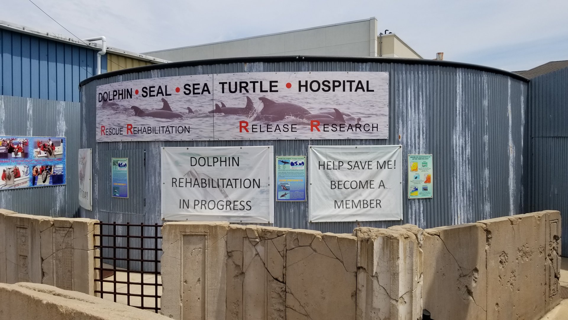 Long Island Aquarium - Rescue hospital