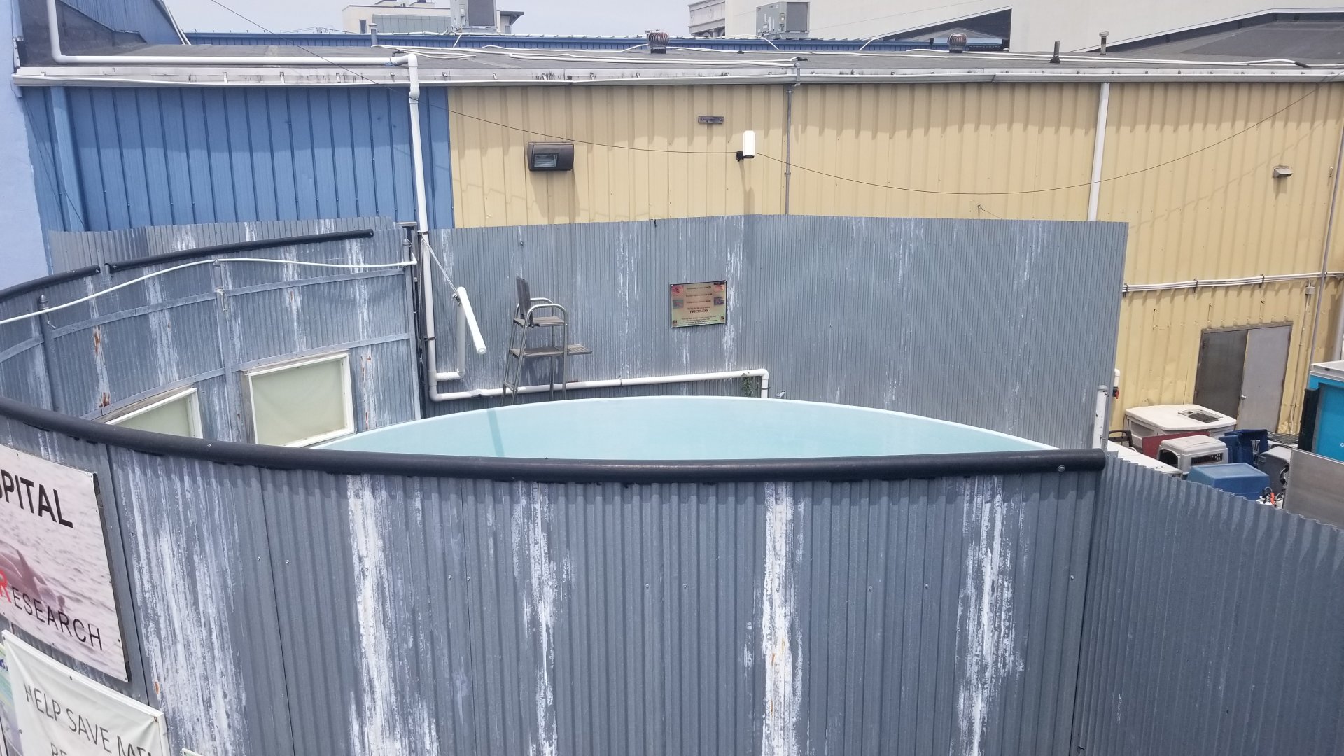 Long Island Aquarium - Rescue hospital