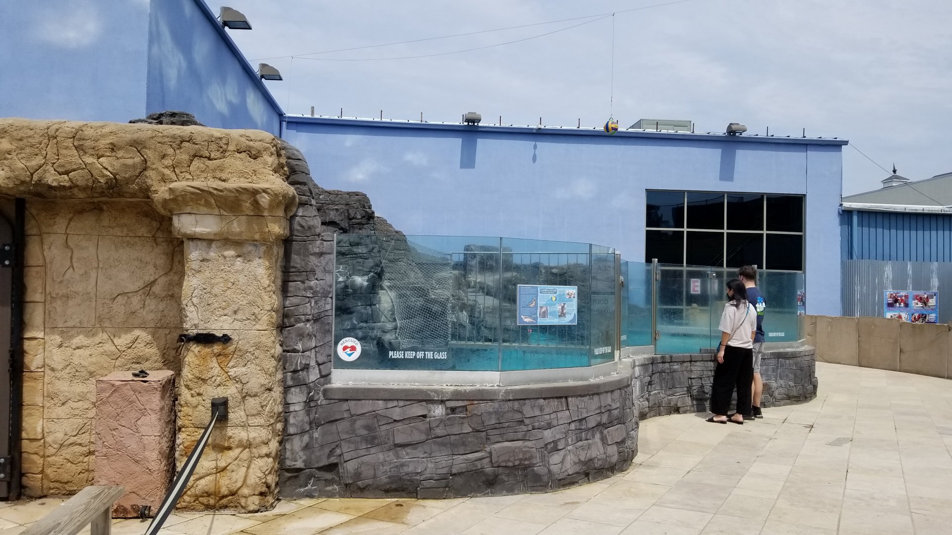 Long Island Aquarium - Sea Lion Coliseum