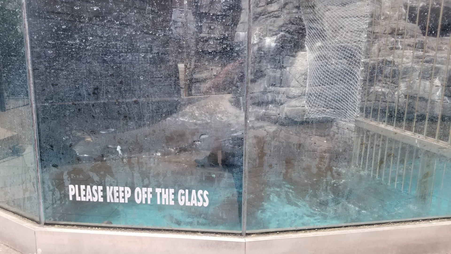 Long Island Aquarium - Sea Lion Coliseum