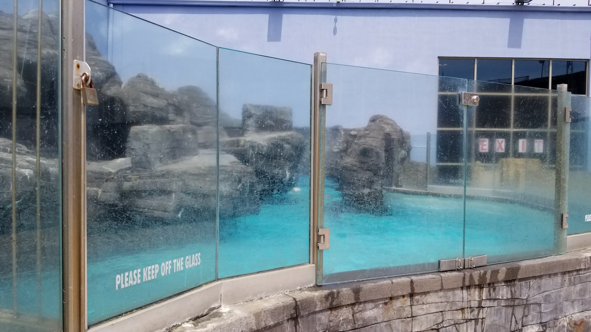 Long Island Aquarium - Sea Lion Coliseum