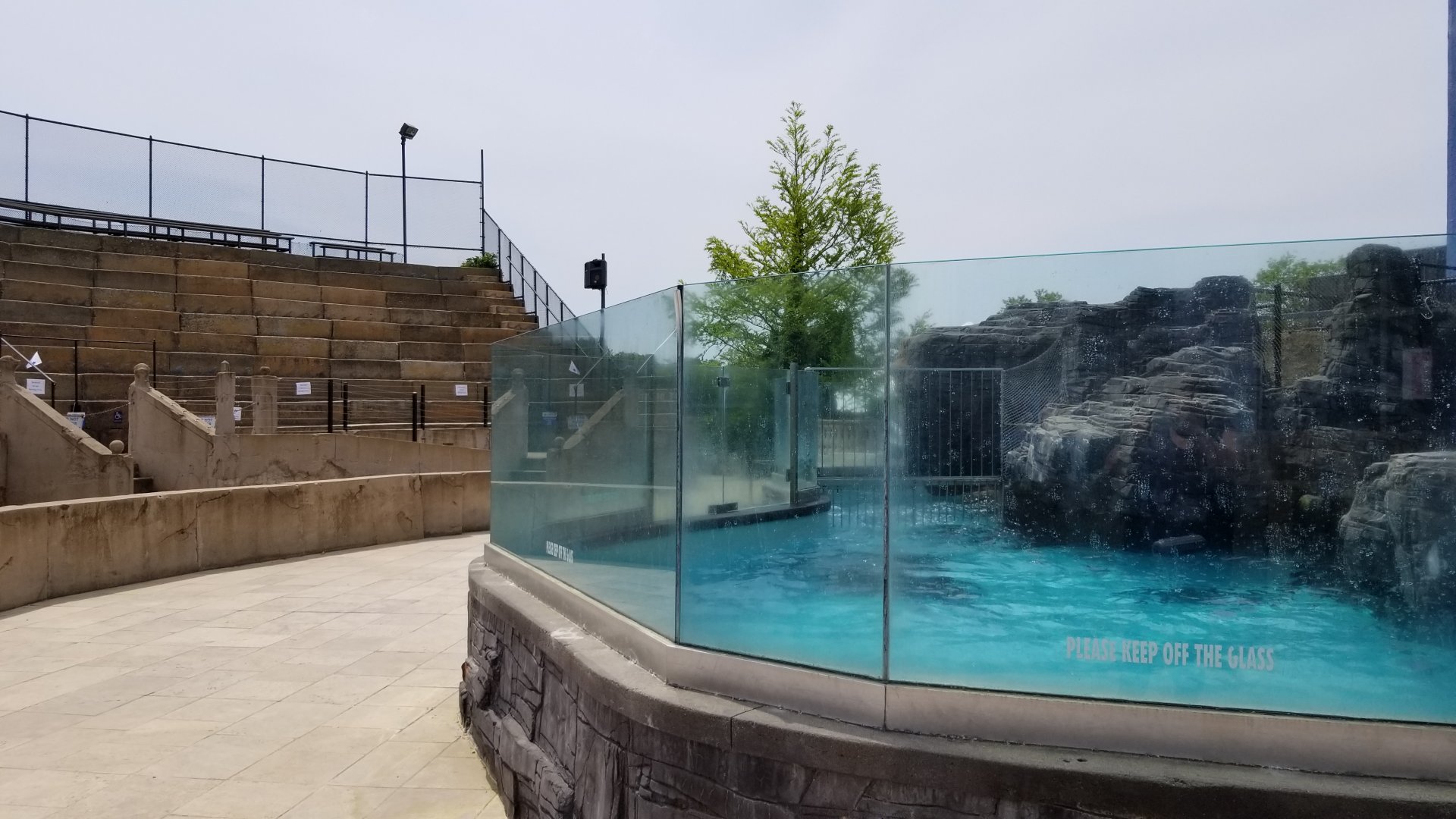 Long Island Aquarium - Sea Lion Coliseum