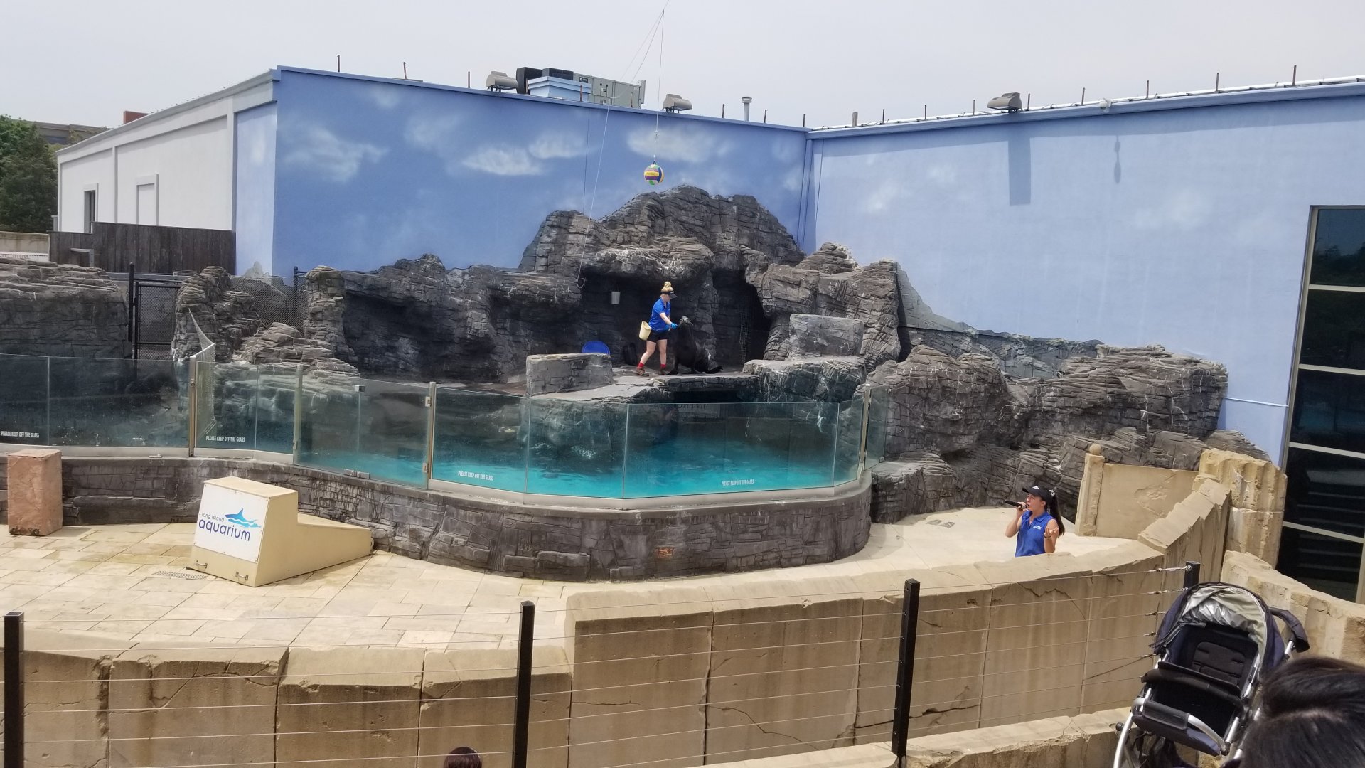 Long Island Aquarium - Sea Lion Coliseum