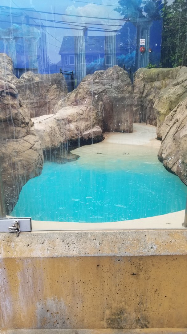 Long Island Aquarium - Seal exhibit