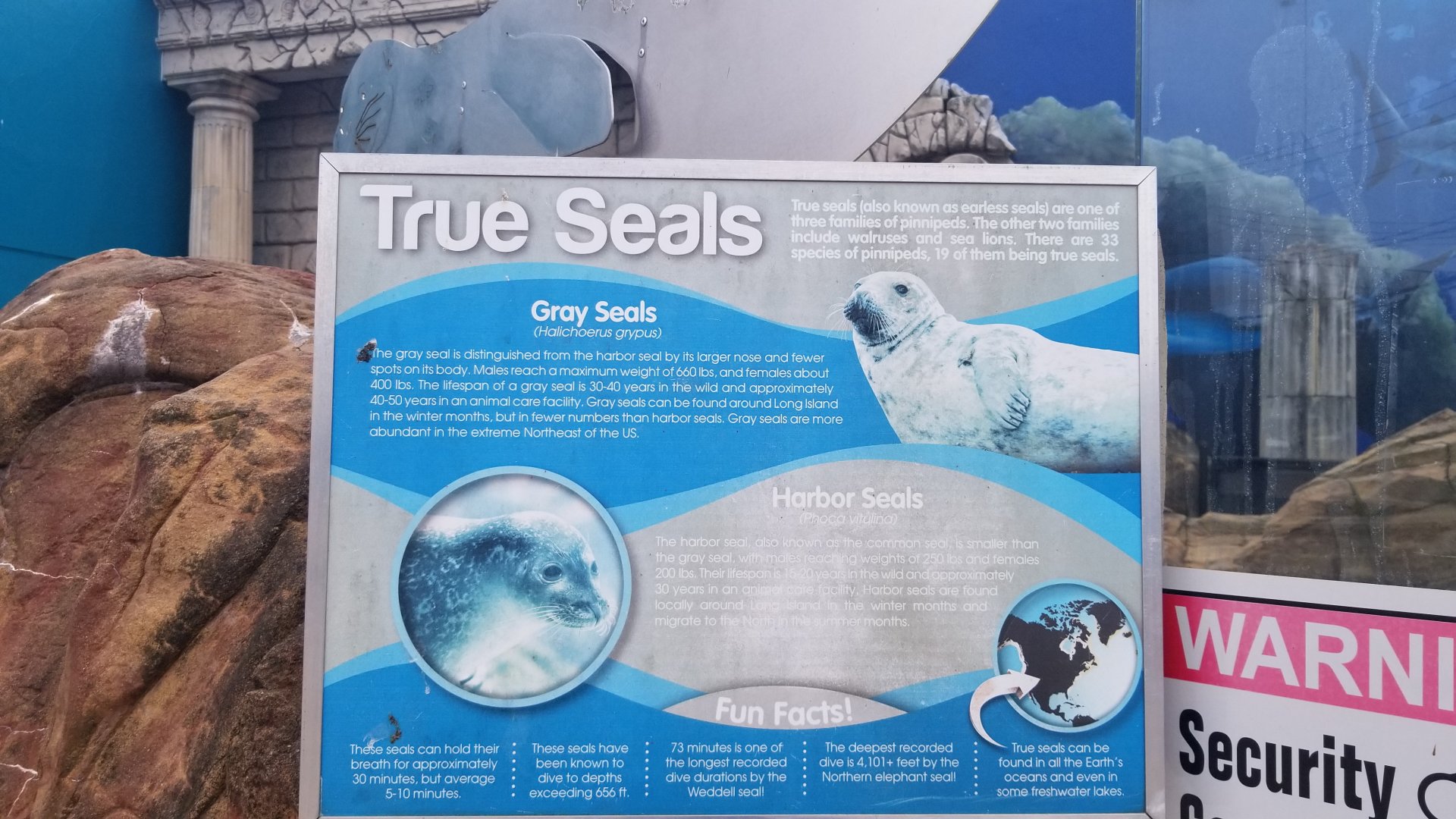 Long Island Aquarium - Seal sign