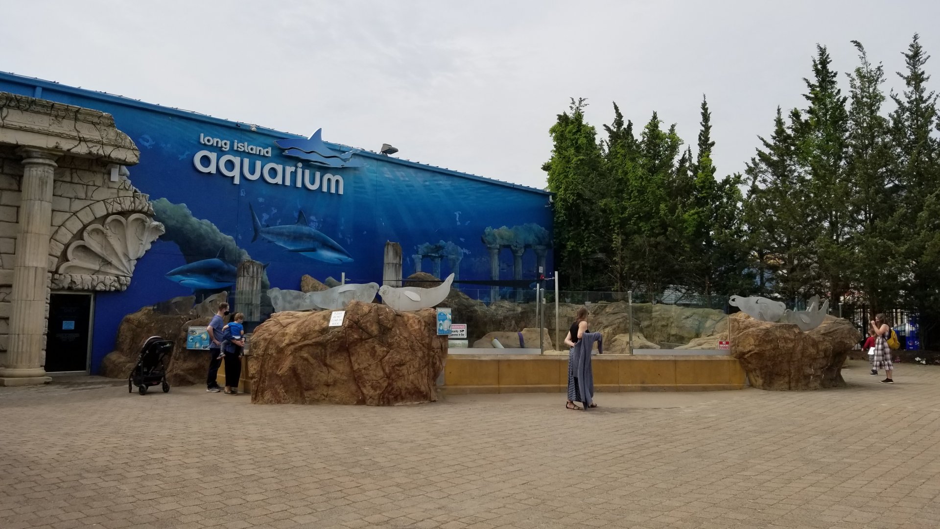 Long Island Aquarium - Seals