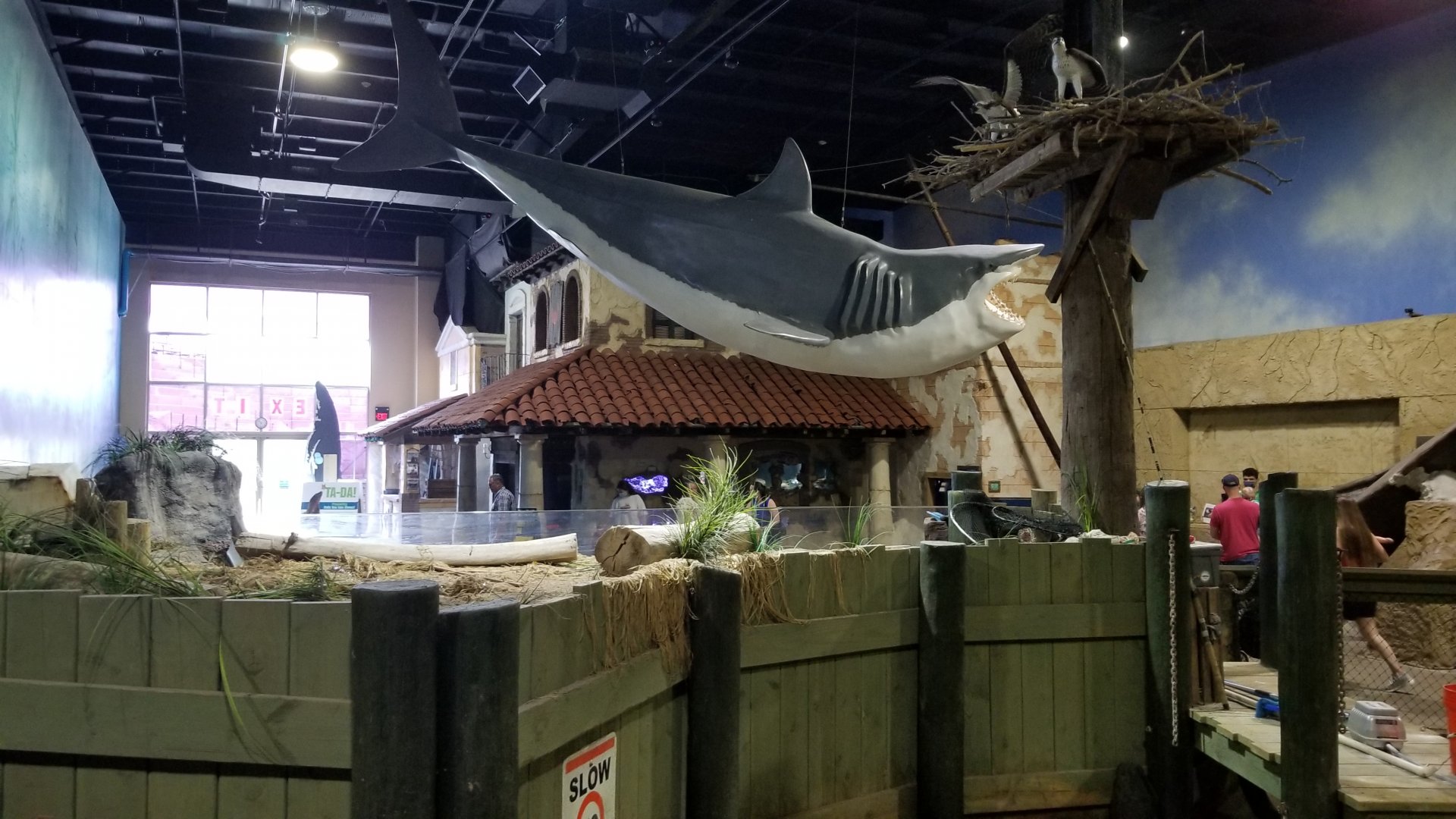Long Island Aquarium - Shark over lagoon