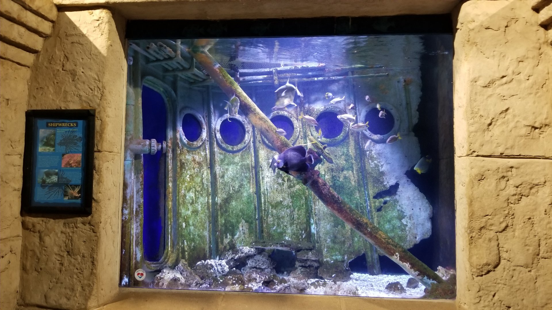 Long Island Aquarium - Shipwrecks tank