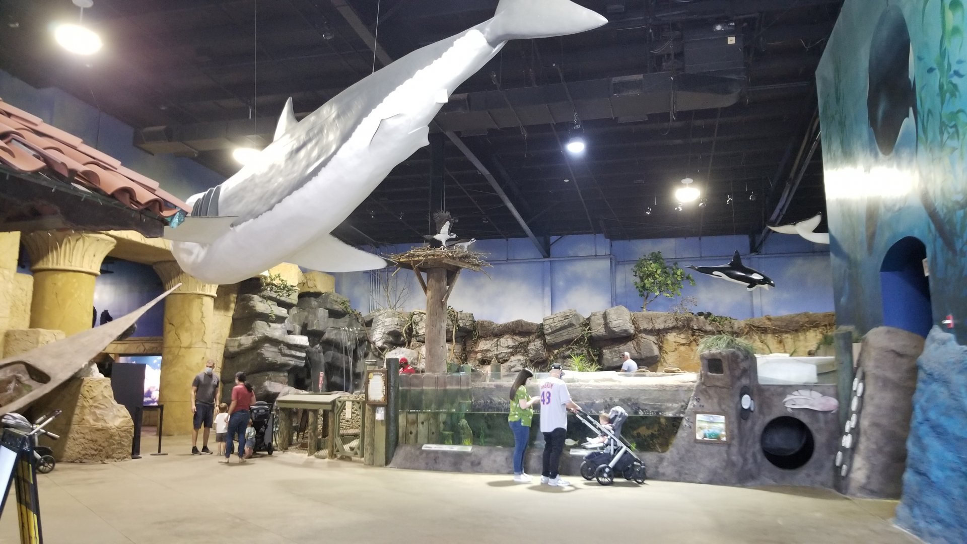 Long Island Aquarium - Tidal marsh with lagoon behind