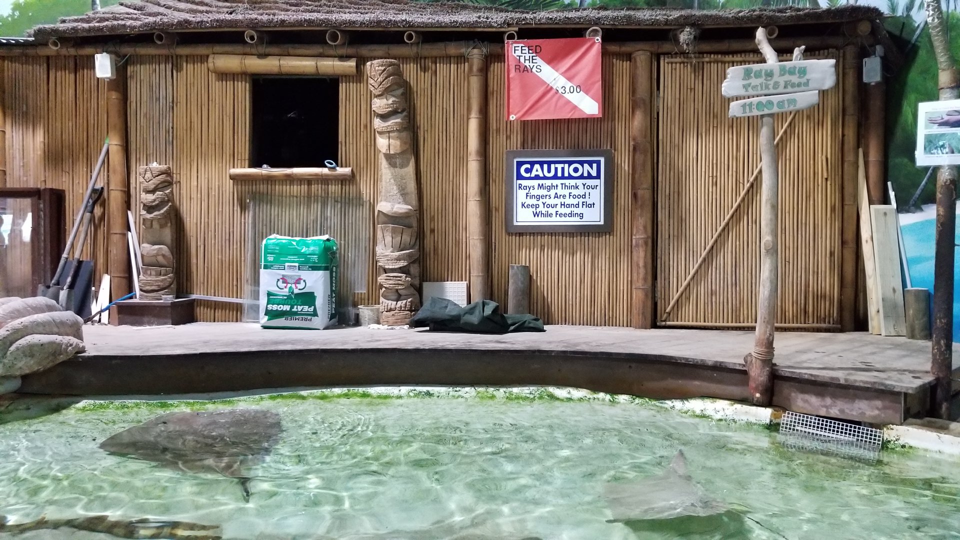 Long Island Aquarium - Touch Tank