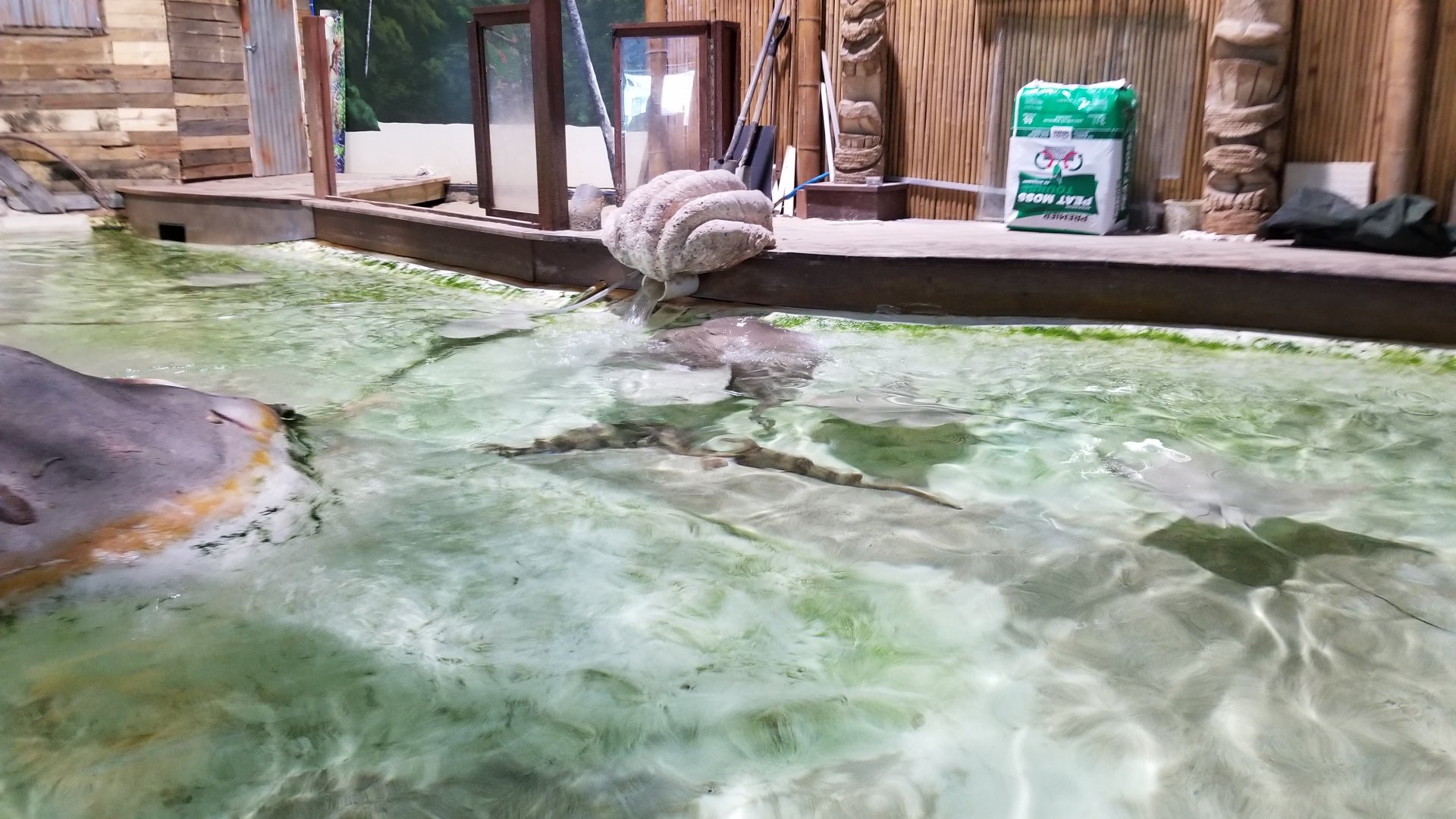 Long Island Aquarium - Touch Tank