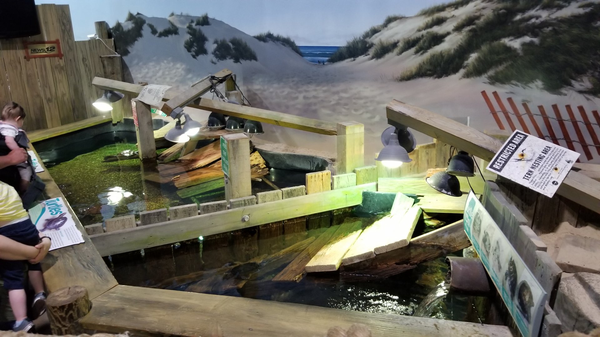 Long Island Aquarium - Turtles