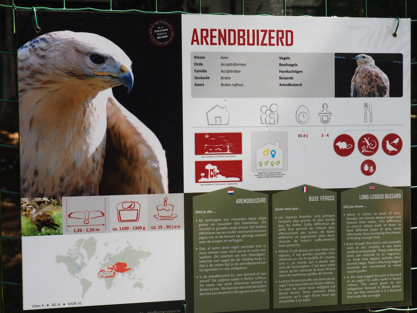 Long-legged buzzard signage, 2019-08-04