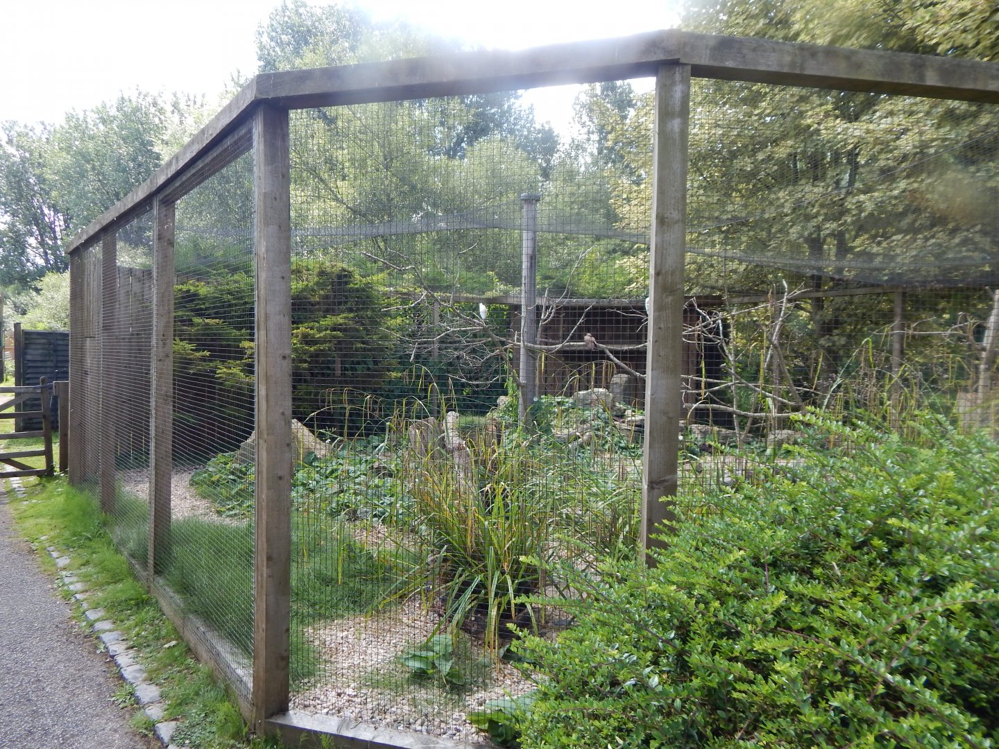 Long-legged wading bird aviary 030821