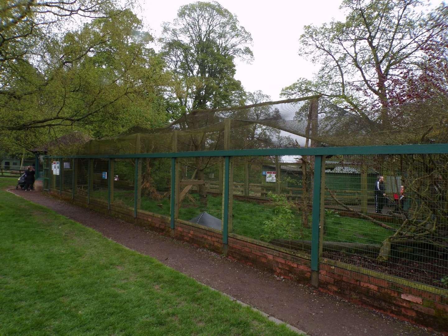 Long-nosed potoroo and Violet turaco enclosure 7.5.23
