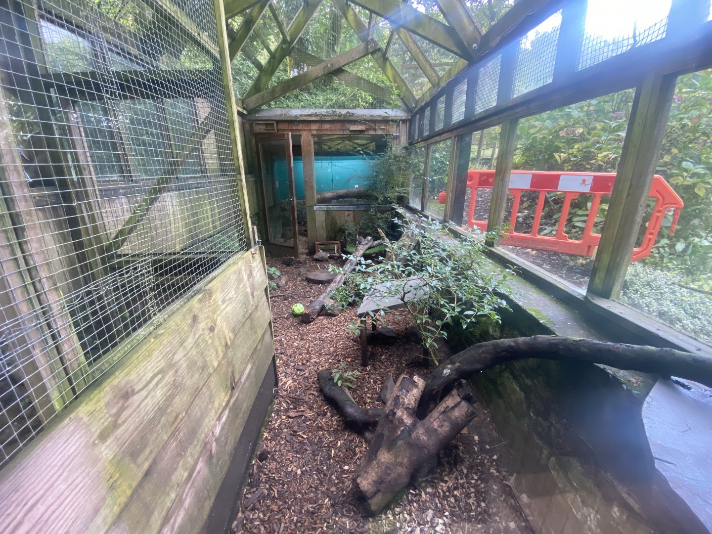 Long-nosed potoroo enclosure 050925