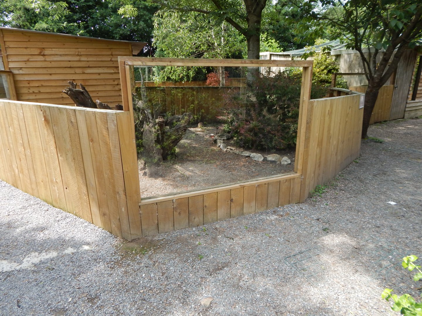 Long-nosed potoroo enclosure 060625