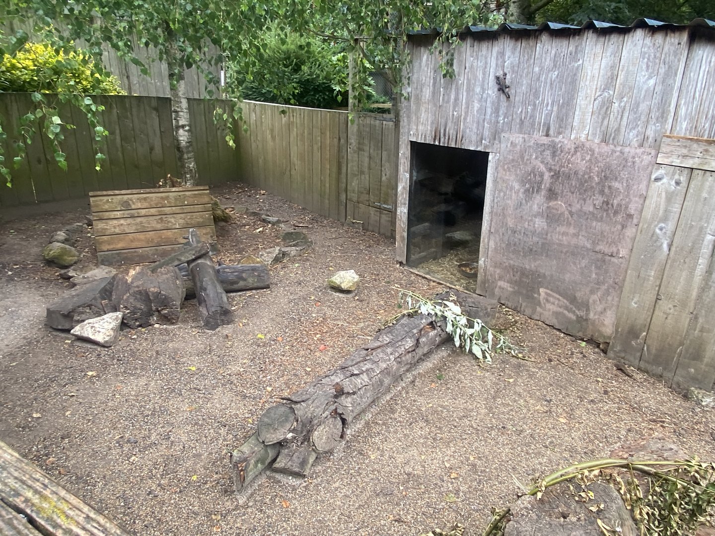Long-nosed potoroo enclosure 300623