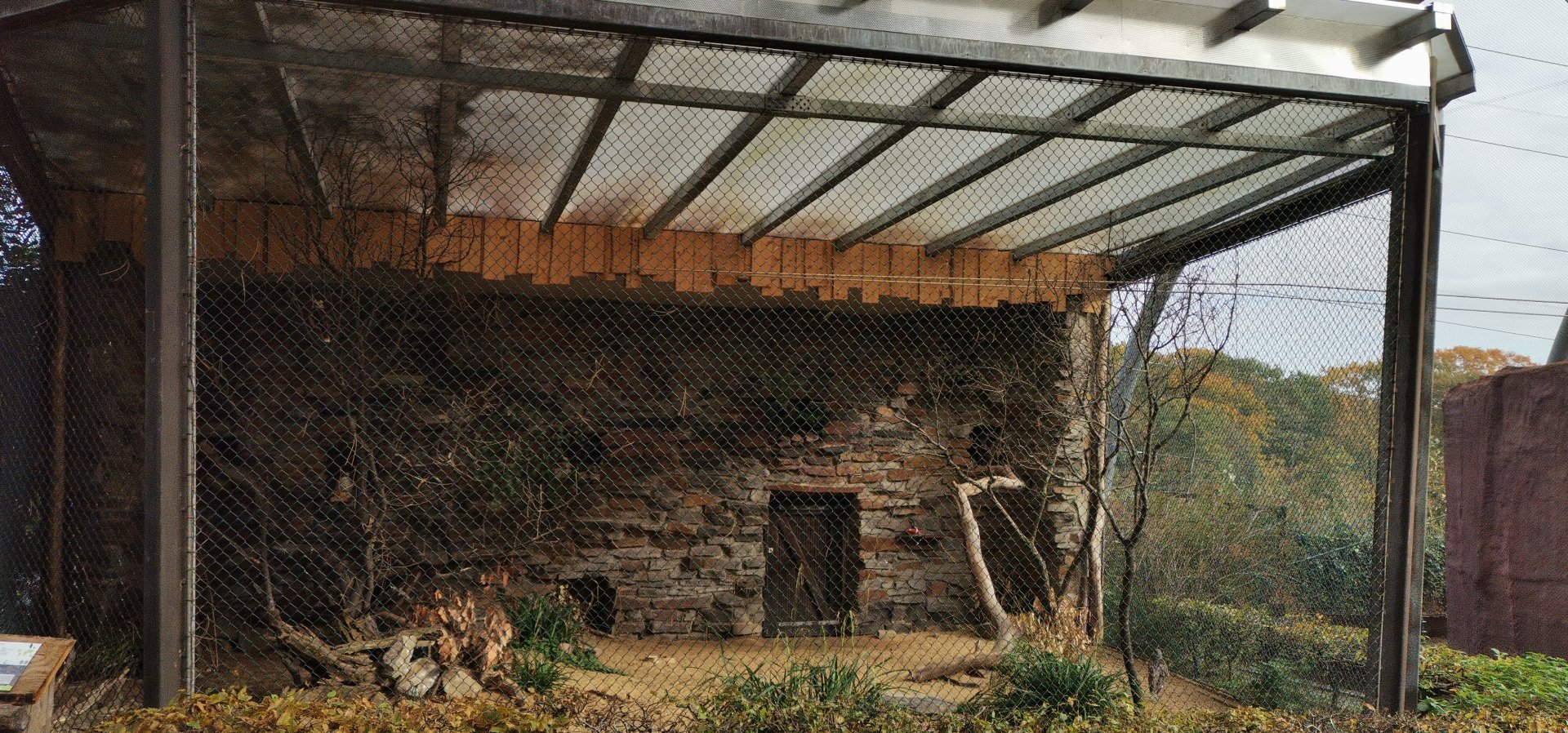 Long-nosed Potoroo/ New Zealand Shoveler/ Laughing Kookaburra/Bush Thick-knee exhibit