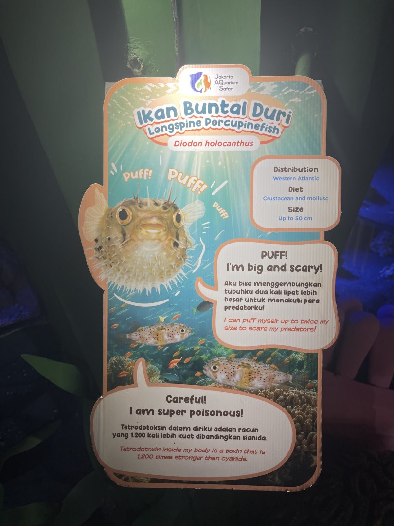 long-spine porcupinefish signage