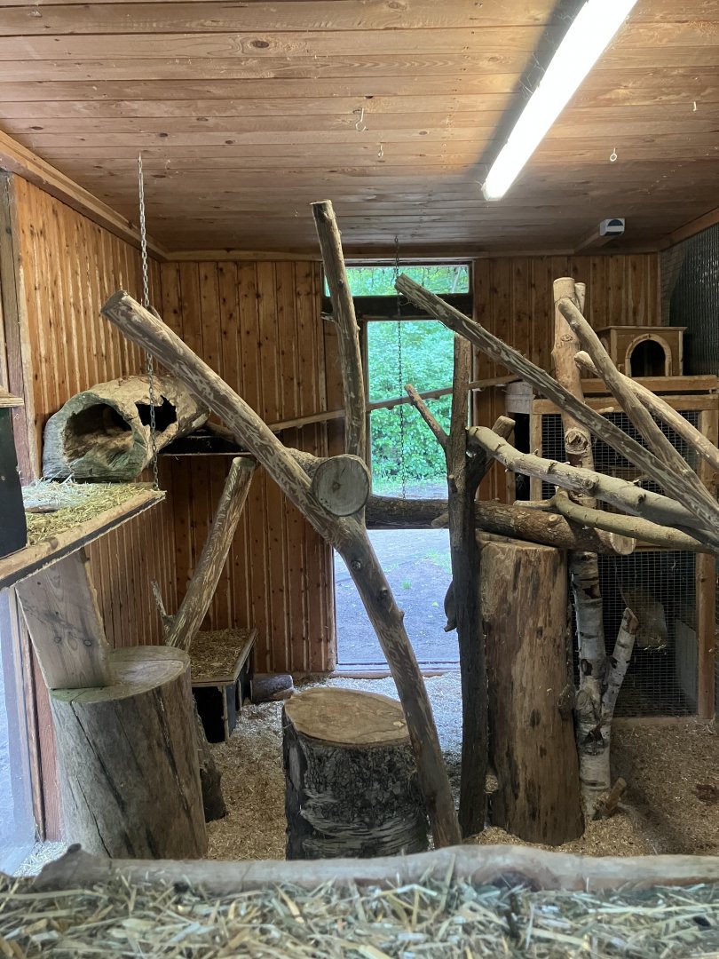 Long-tailed chinchilla enclosure
