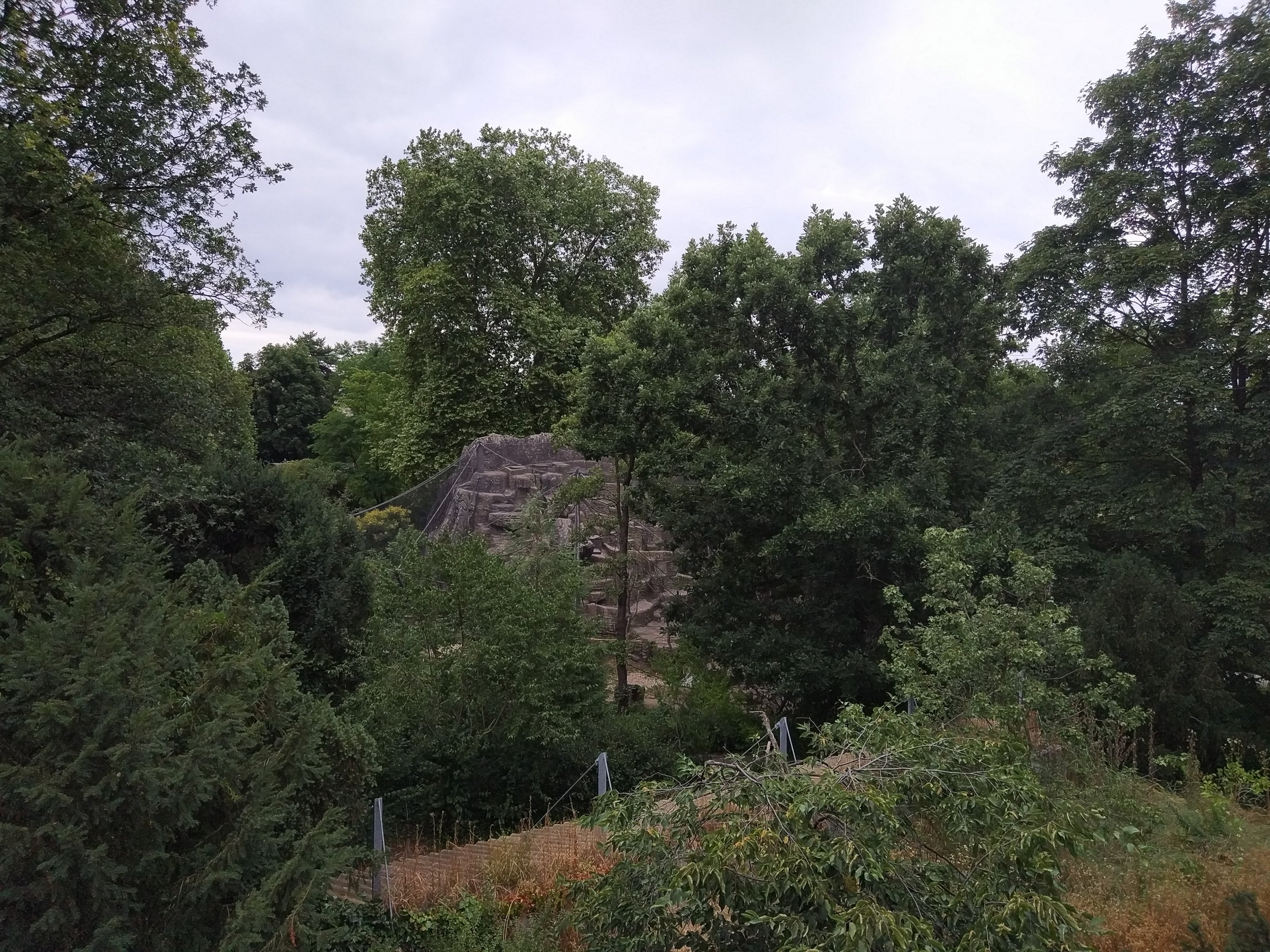 Long-tailed Macaque enclosure