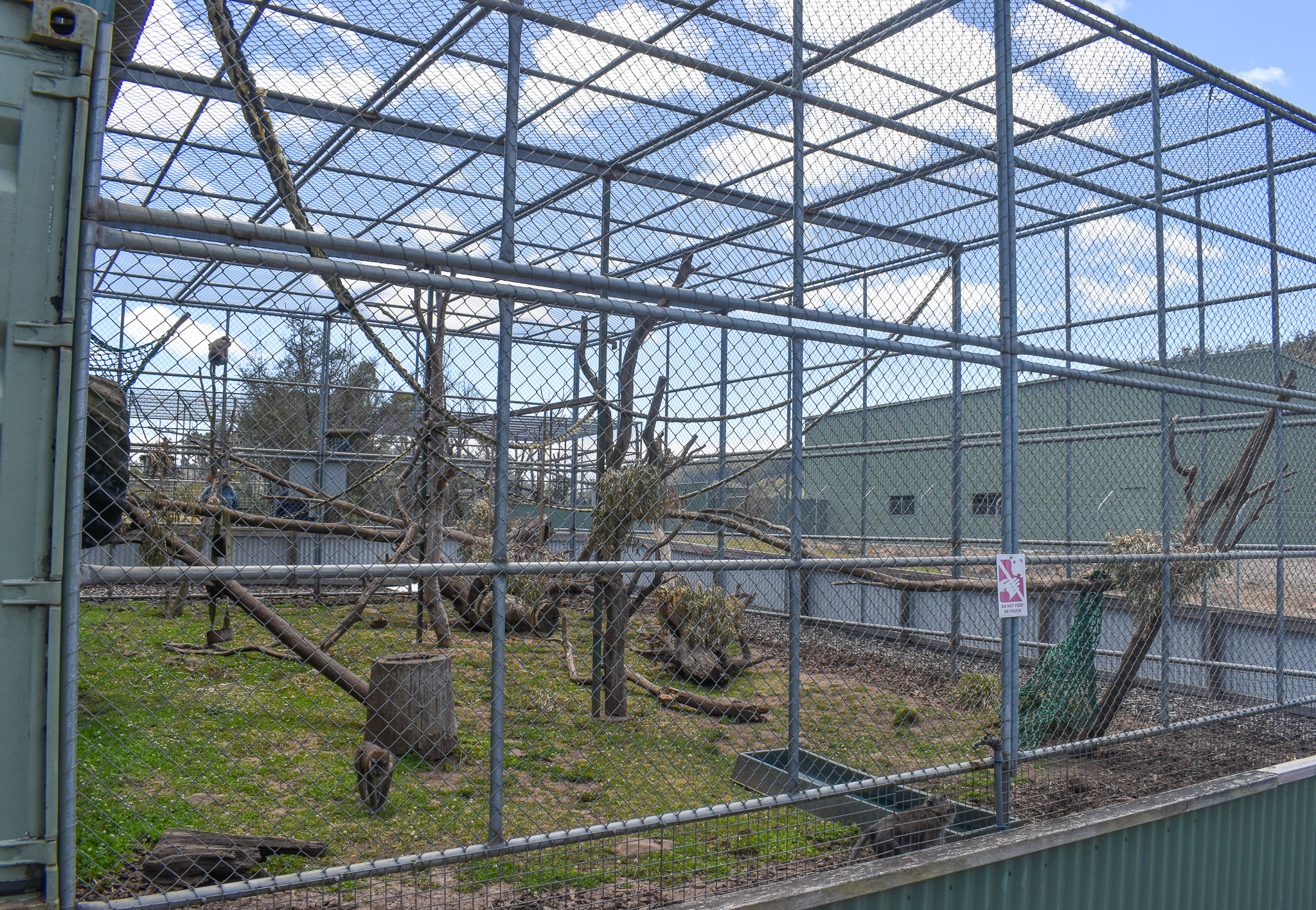 Long-tailed Macaque Enclosure