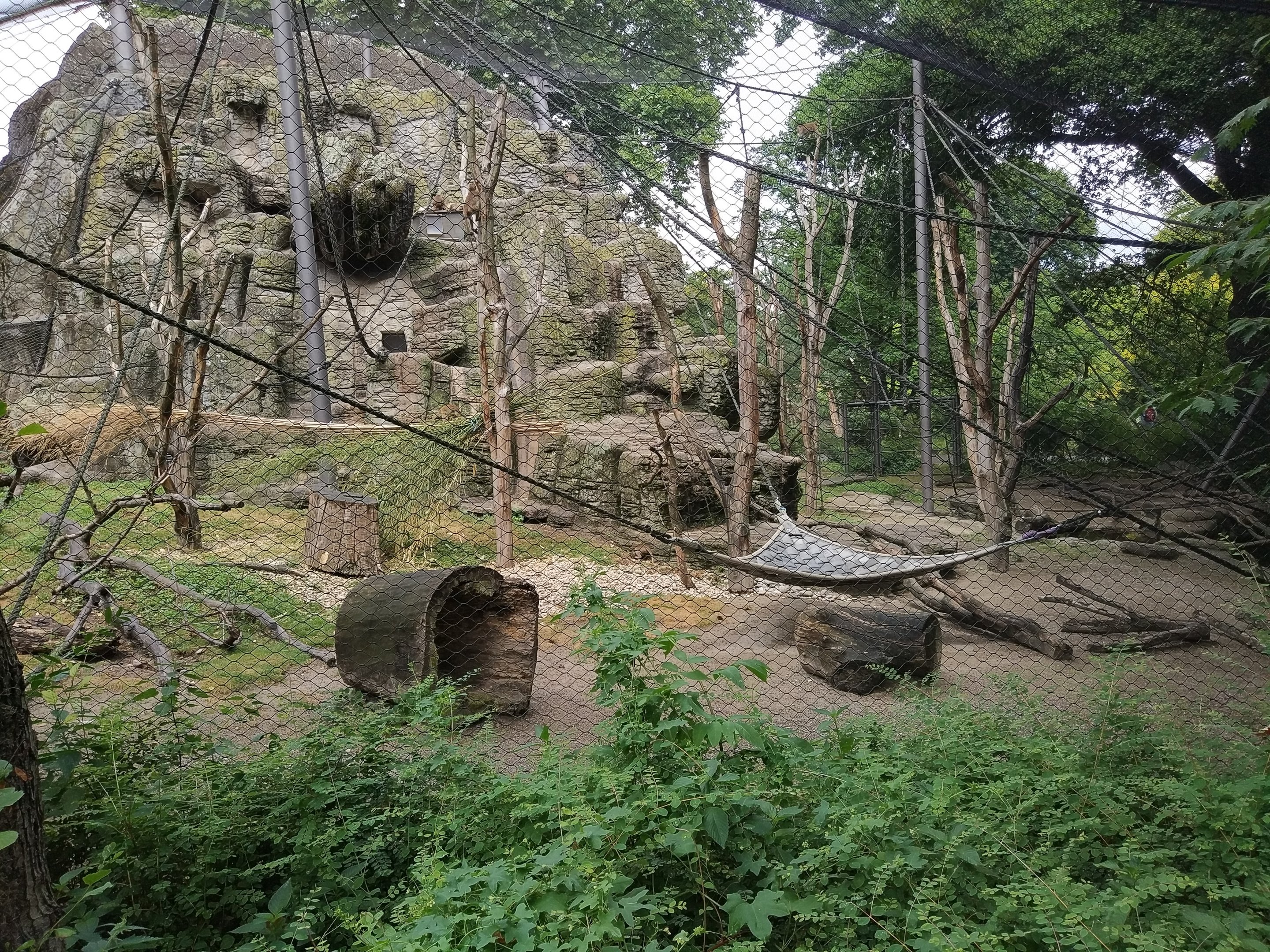 Long-tailed Macaque Exhibit